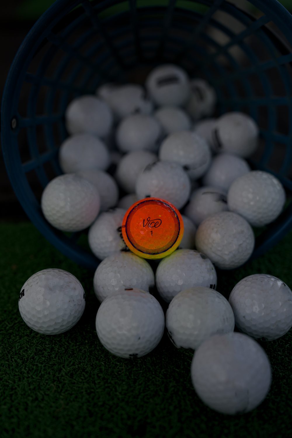 Vice Golf Ball in Orange zwischen weißen Rangebällen